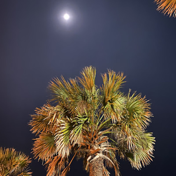 Meet your Posher, Zac - Picture 1 of 1